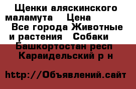 Щенки аляскинского маламута  › Цена ­ 15 000 - Все города Животные и растения » Собаки   . Башкортостан респ.,Караидельский р-н